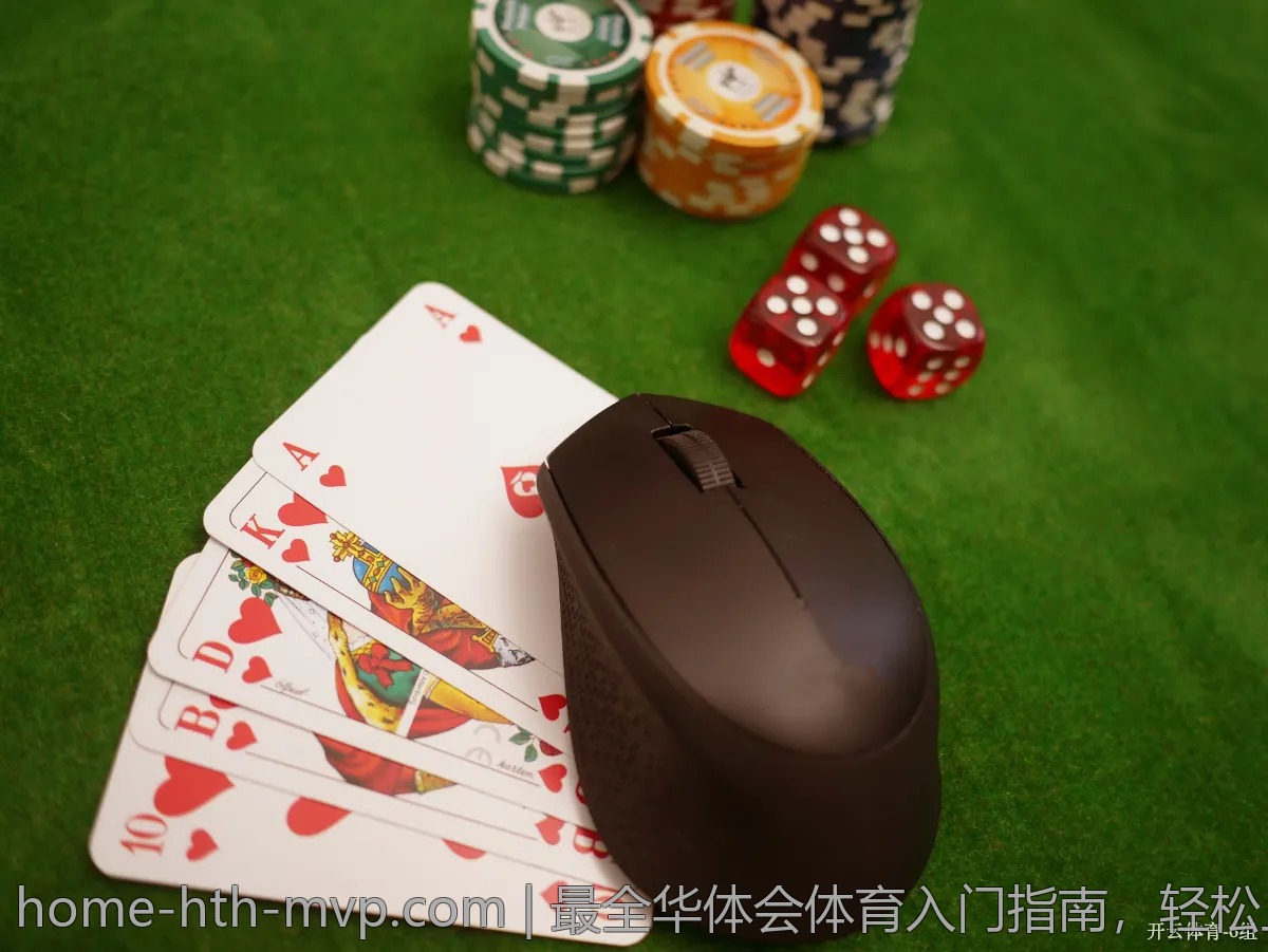 最全华体会体育入门指南，轻松上手不再难