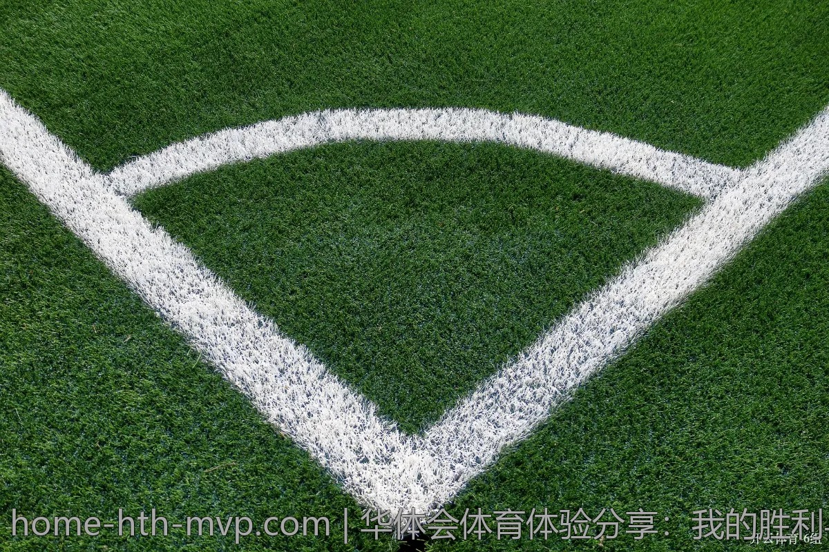 华体会体育体验分享：我的胜利与失利